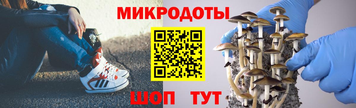 Лосино-Петровский  Псилоцибиновые грибы Psilocybe  Вход с VPN 